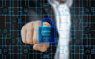 九游下载安装-马术运动进校园课程体系初步建立，马术走进校园合作方案